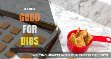 Cheese and Dogs: A Healthy Treat?