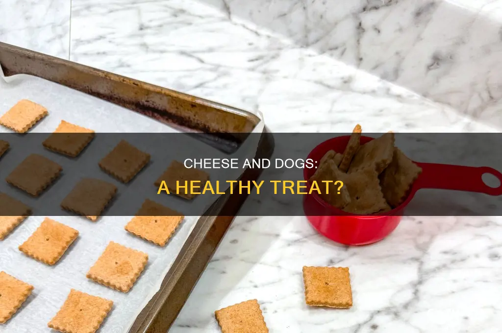 is cheese good for digs