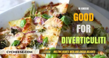 Cheese and Diverticulitis: A Healthy Relationship?