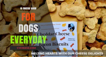 Cheese for Dogs: A Daily Treat or Not?
