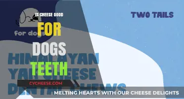 Cheese for Dog Teeth: Good or Bad?