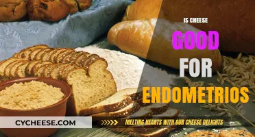 Cheese and Endometriosis: A Healthy Pairing?