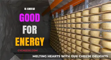 Cheese: Energy-Boosting Superfood or Dairy Myth?