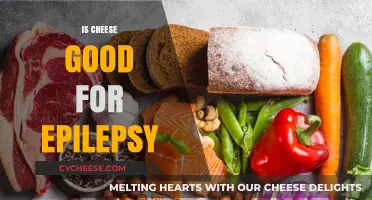 Cheese and Epilepsy: A Healthy Relationship?