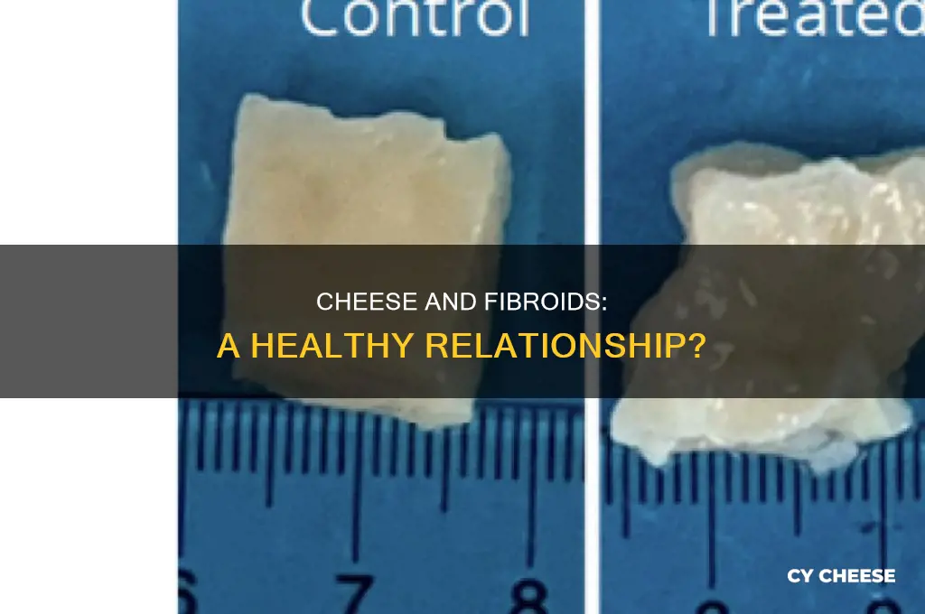 is cheese good for fibroids