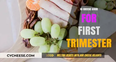 Cheese in First Trimester: Good or Bad?