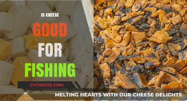 Cheese as Bait: Effective Fishing?