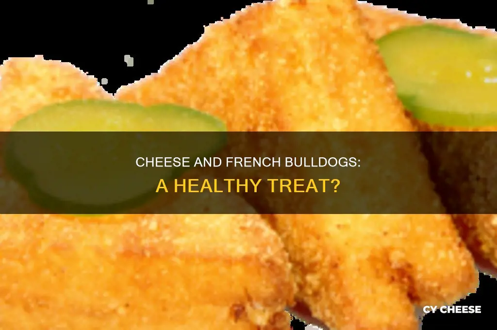 is cheese good for french bulldogs