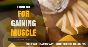 Cheese for Muscle Gain: Friend or Foe?