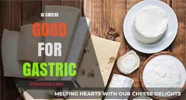 Cheese and Gastric: A Healthy Pairing?