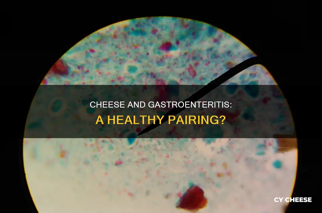 is cheese good for gastroenteritis