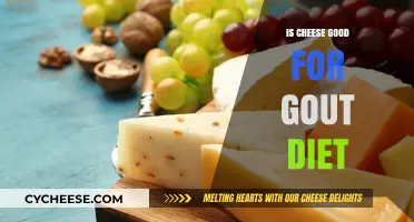 Cheese and Gout: A Healthy Diet Guide