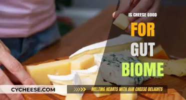 Cheese and Gut Health: A Balanced Diet's Best Friend?