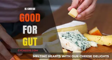 Cheese and Gut Health: A Healthy Match?