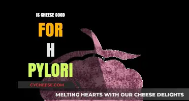 Cheese and H. Pylori: A Healthy Solution?