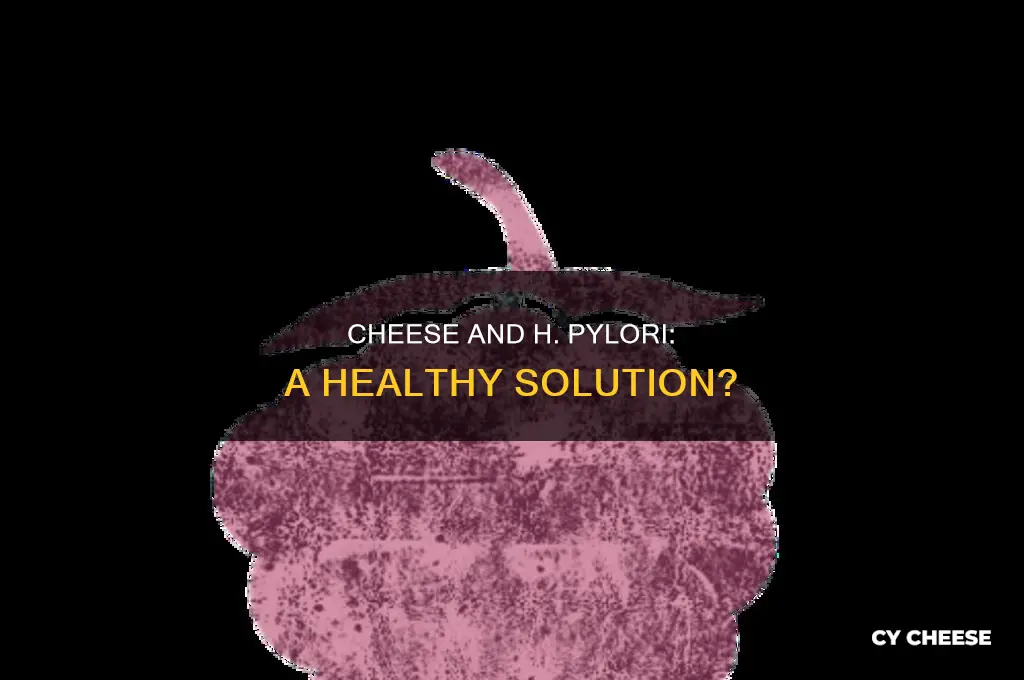 is cheese good for h pylori