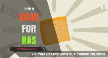 Cheese and Your Health: What's Good and Bad