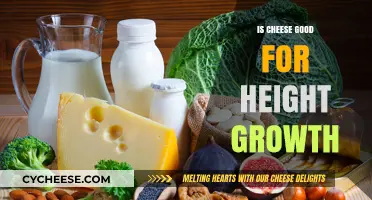 Cheese for Height Growth: Does it Work?