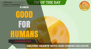 Cheese: Healthy or Harmful?