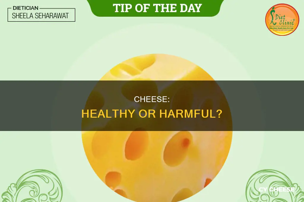 is cheese good for humans