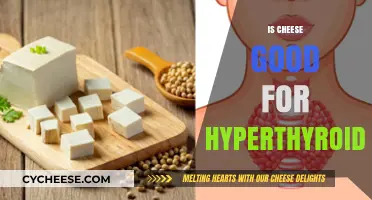 Cheese and Hyperthyroidism: What You Need to Know