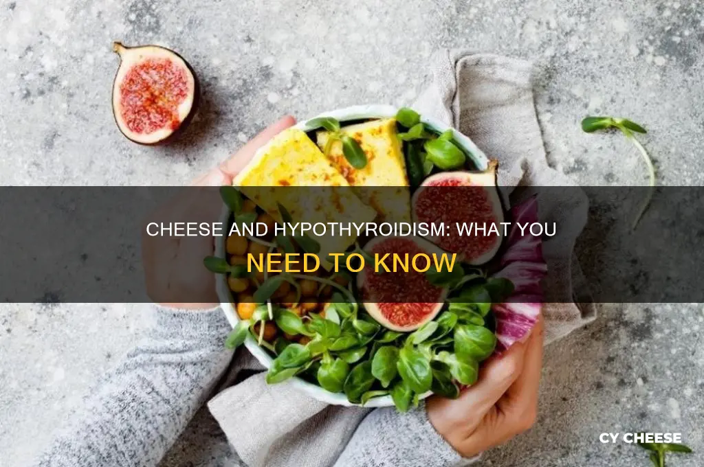 is cheese good for hypothyroid patients