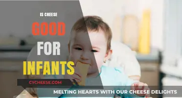 Is Cheese Safe for Infants? Nutrition Facts and Feeding Tips