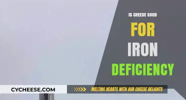 Cheese and Iron: A Healthy Combination?