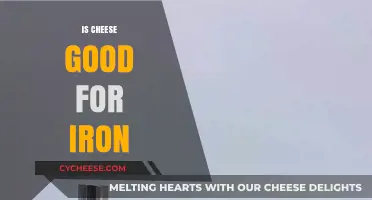 Cheese and Iron: A Healthy Combination?