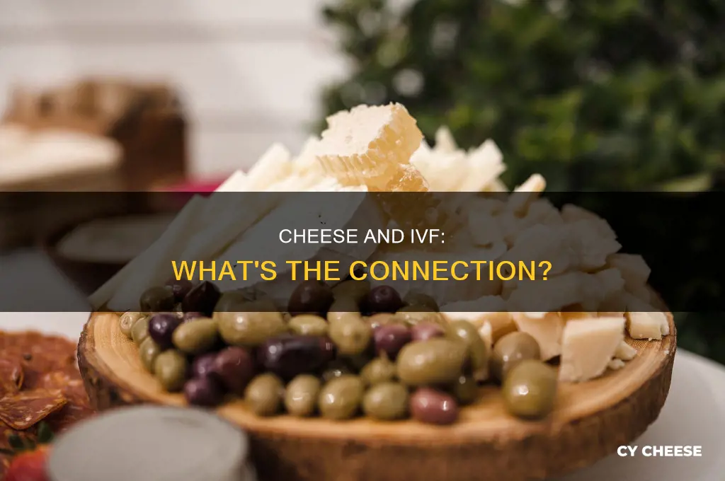 is cheese good for ivf