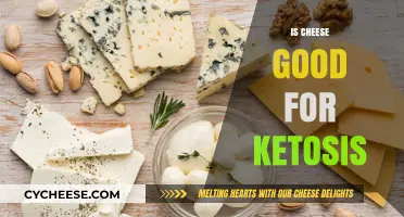 Cheese and Ketosis: A Healthy Match?