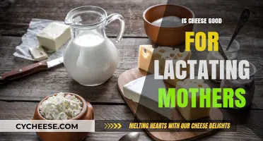 Cheese and Breastfeeding: What Lactating Mothers Need to Know