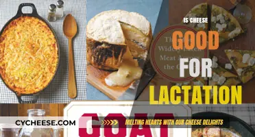 Cheese and Lactation: A Healthy Boost?