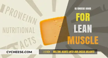 Cheese for Lean Muscle: Friend or Foe?