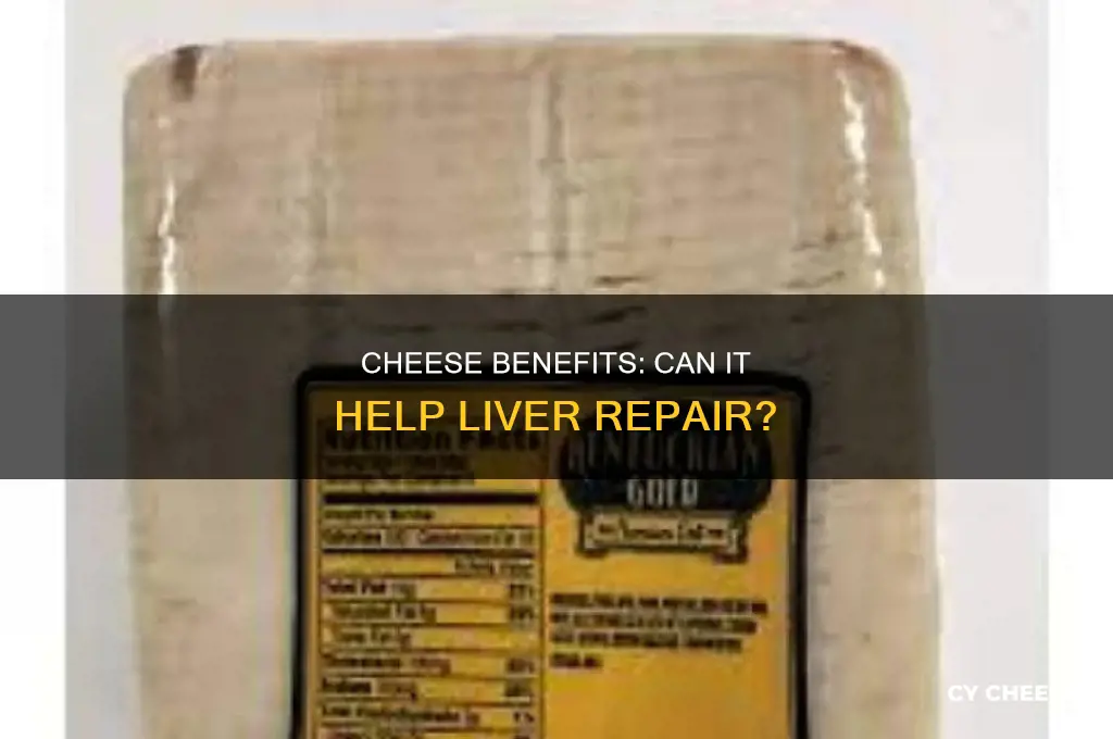 is cheese good for liver repair