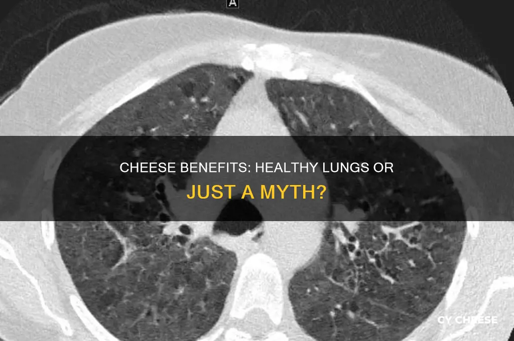 is cheese good for lungs