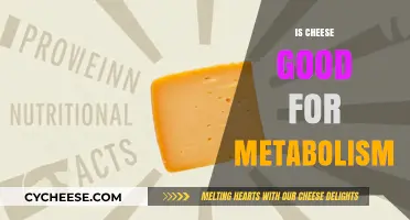 Cheese and Metabolism: A Healthy Match?