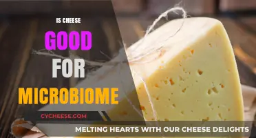 Cheese and Your Microbiome: A Healthy Match?