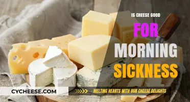 Cheese: Morning Sickness Superfood or Myth?