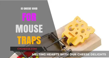 Cheese: Effective Bait for Mouse Traps?