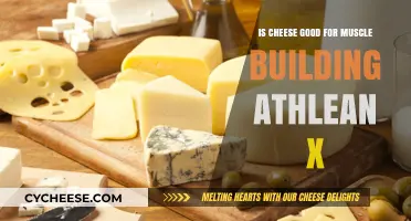 Cheese for Muscle Building: Athlean-X's Take