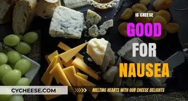 Cheese and Nausea: A Surprising Relationship