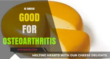 Cheese and Osteoarthritis: A Healthy Pairing?