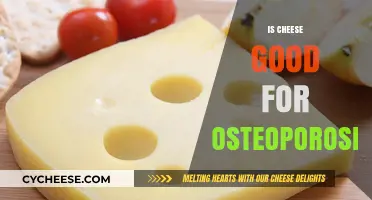 Cheese and Osteoporosis: A Healthy Diet Solution?