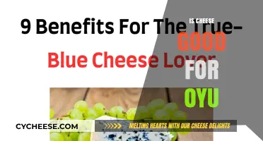 Cheese: Healthy or Harmful?