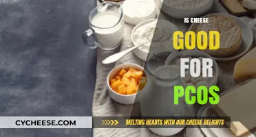 Cheese and PCOS: A Healthy Match?