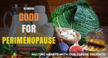 Cheese and Perimenopause: Friend or Foe?
