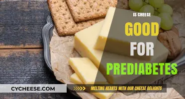Cheese and Prediabetes: Balancing Nutrition for Better Blood Sugar Control