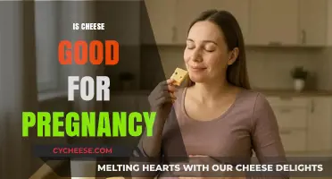 Cheese and Pregnancy: Safe Choices, Benefits, and What to Avoid