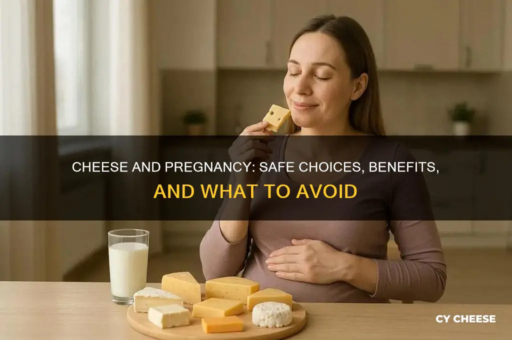 is cheese good for pregnancy